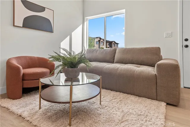 a living room with furniture flowerpot and a rug