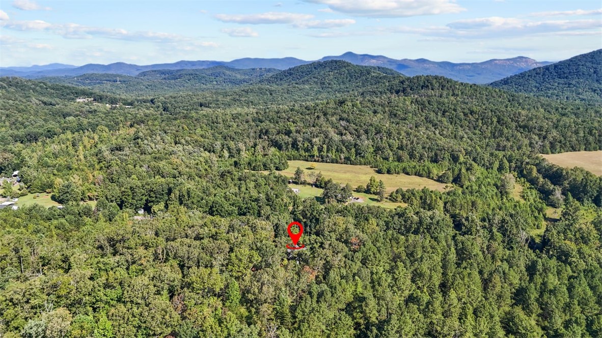 1258 Cove Creek Road Pickens, SC 29671 - Photo 42 of 44