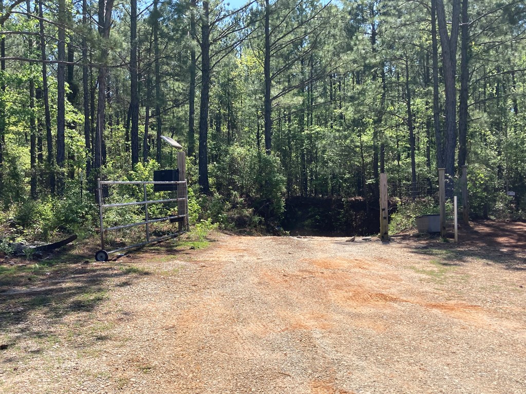 371 Manta Road Cusseta, GA 31805 - Photo 2 of 40 Front Gate