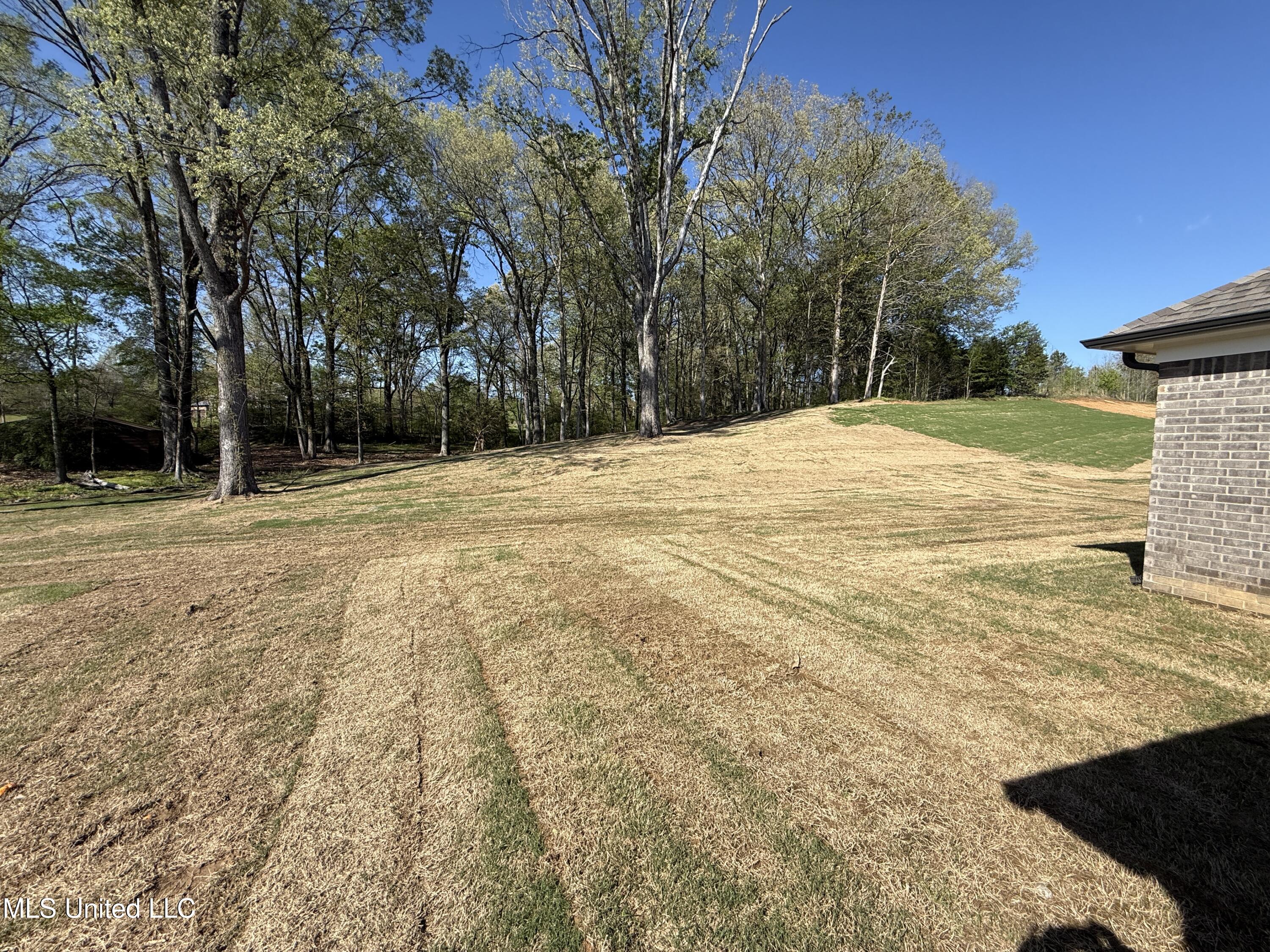 1184 Creekside Lane Hernando, MS 38632 - Photo 37 of 39 Pear