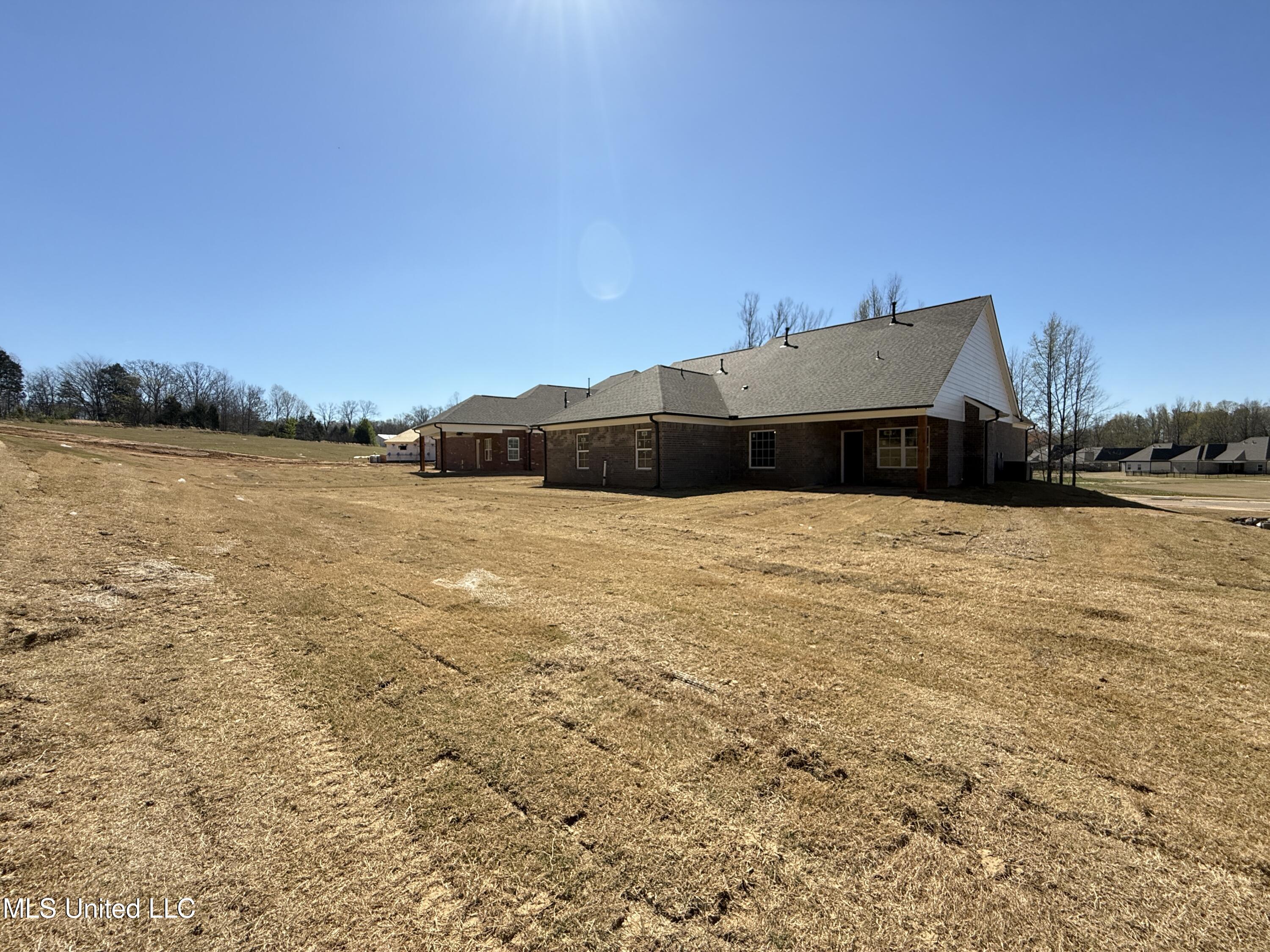 1184 Creekside Lane Hernando, MS 38632 - Photo 38 of 39 Pear