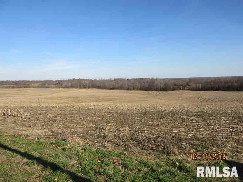 1836 Tick Ridge Road Grand Chain, IL 62941 - Photo 6 of 18