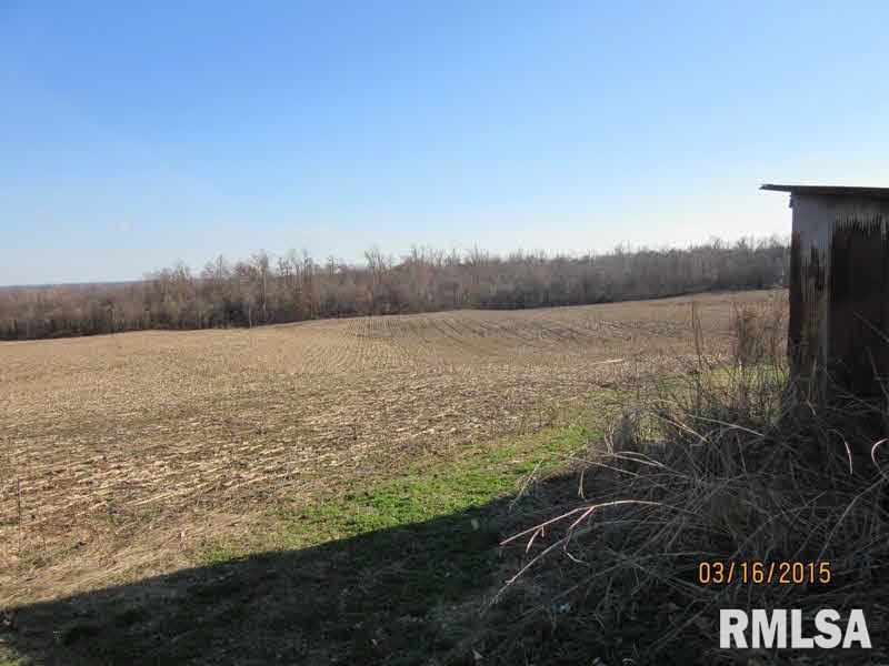 1836 Tick Ridge Road Grand Chain, IL 62941 - Photo 7 of 18