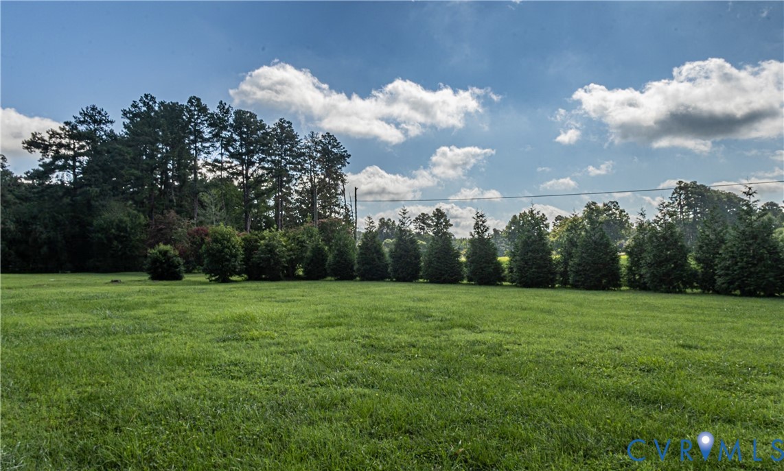 309 Old Plank Road Kenbridge, VA 23944 - Photo 13 of 45 Expansive green lawn with a row of evergreen trees