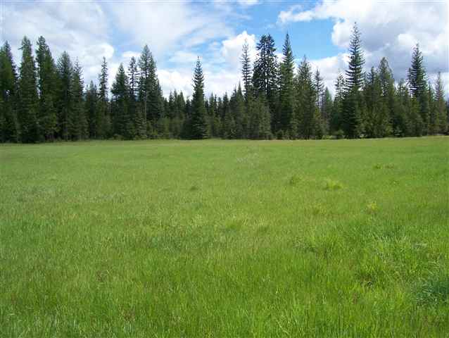 581 Conklin Meadows Road Newport, WA 99156 - Photo 9 of 9 Gallery Image 9