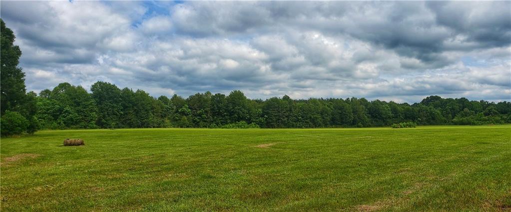 51400 Narretto Road Loranger, LA 70446 - Photo 3 of 14 Gallery Image 3