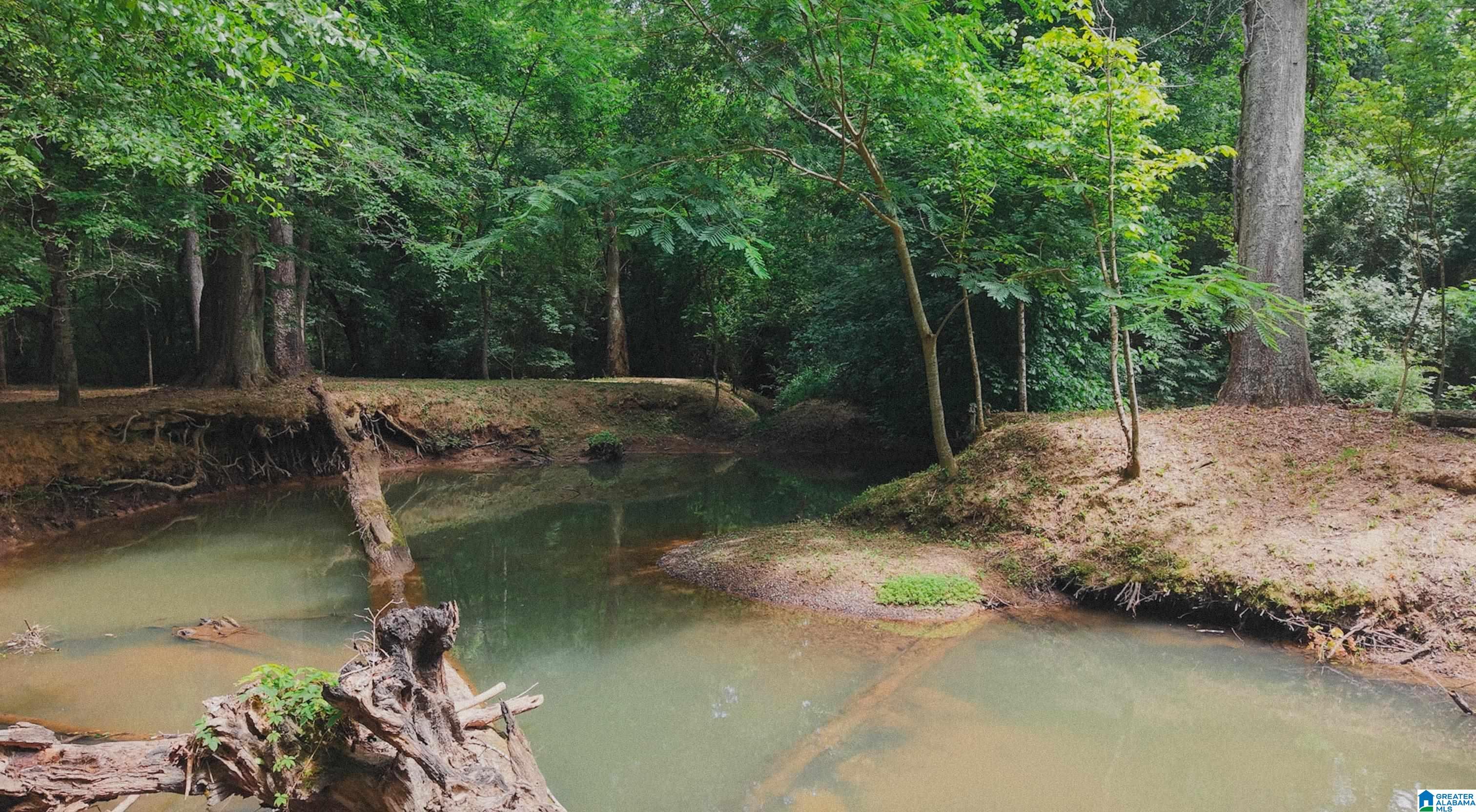 544 Fann Road Steele, AL 35987 - Photo 36 of 84