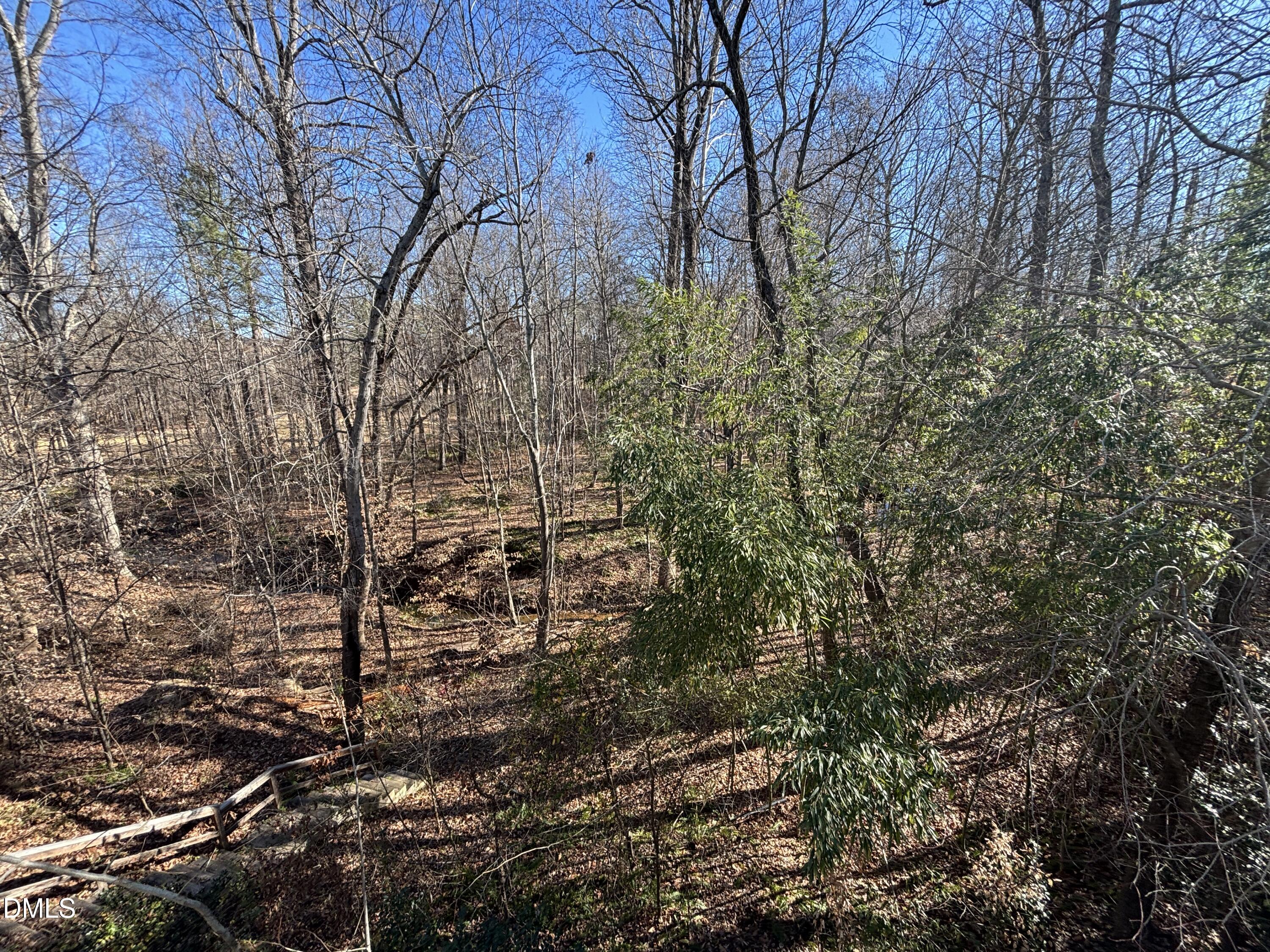 11729 Broadfield Court Raleigh, NC 27617 - Photo 45 of 47 a view of covered with green space