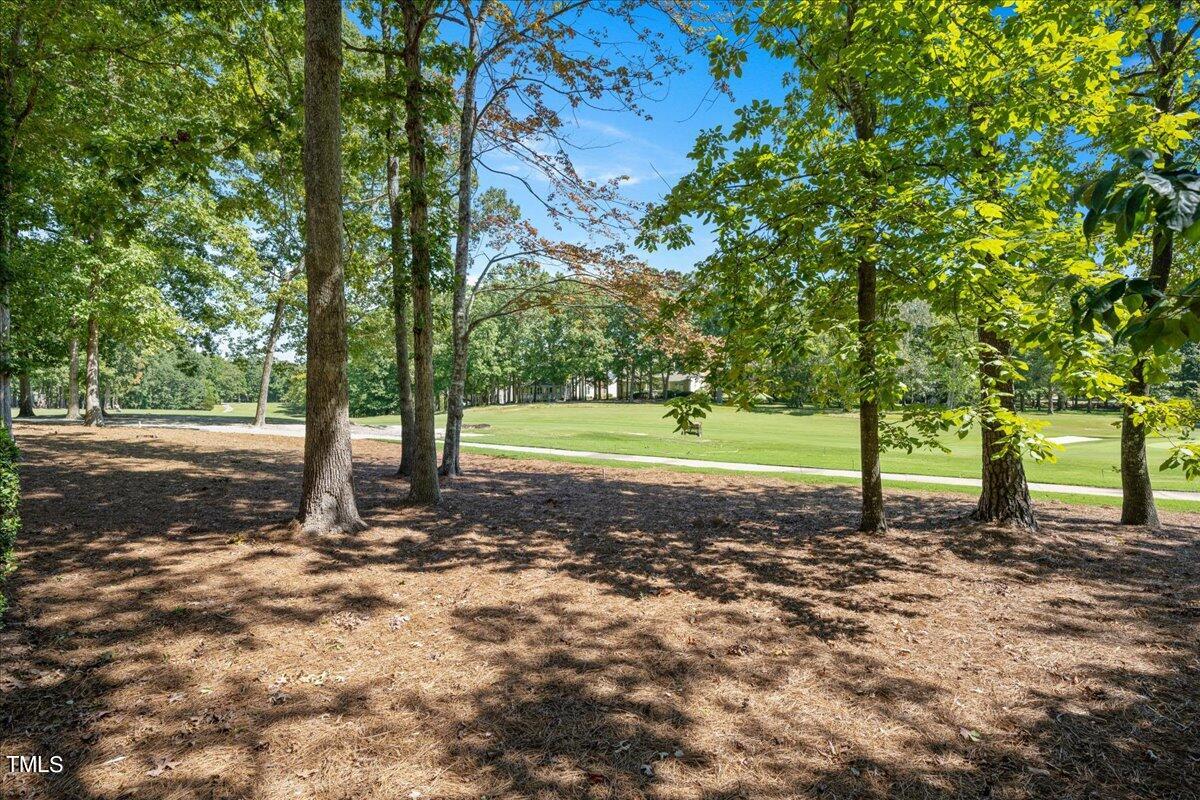 4 Covington Lane Durham, NC 27712 - Photo 40 of 50 48-- 114