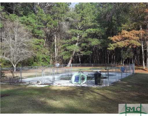 950 Old Olive Branch Road Ellabell, GA 31308 - Photo 19 of 25 Swimming Pool/Hot Tub/Sauna.