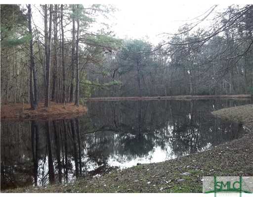 950 Old Olive Branch Road Ellabell, GA 31308 - Photo 23 of 25 Waterfront/Dock/Pier. Fishing Pond with island