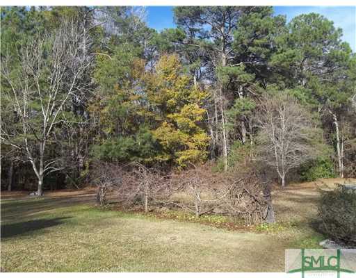 950 Old Olive Branch Road Ellabell, GA 31308 - Photo 25 of 25 Land. Fruit vines