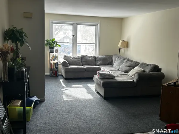 a living room with furniture and a potted plant