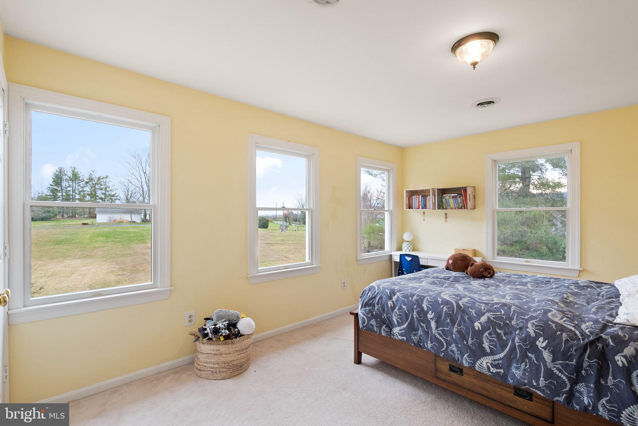12007 Briar Patch Road Hume, VA 22639 - Photo 32 of 60 Gallery Image 32