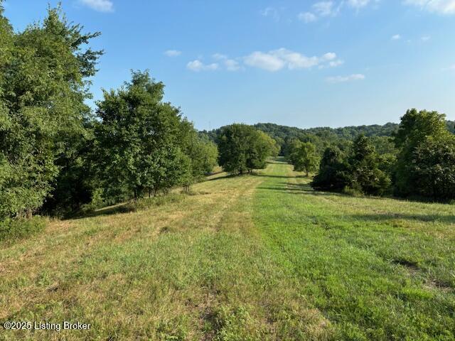 75-ac Bardstown Road Lawrenceburg, KY 40342 - Photo 4 of 15 image004