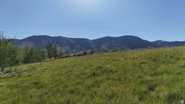 1398 Mogul Lane, Unit 1 Inkom, ID 83245 - Photo 25 of 33 Expansive grassy acreage featuring distant mountain ranges and a clear sky
