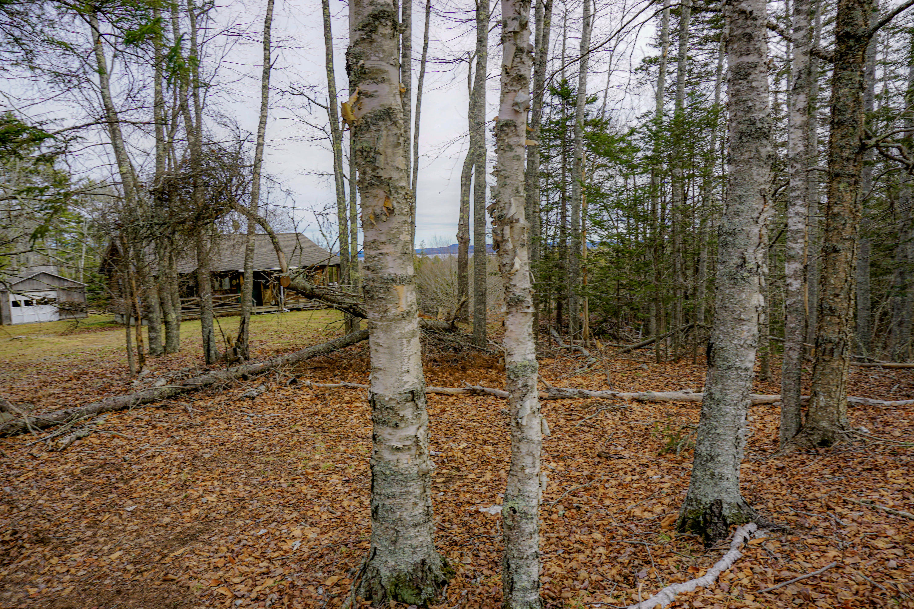 0 Main Road Islesboro, ME 04848 - Photo 21 of 44 56-_DSC1712