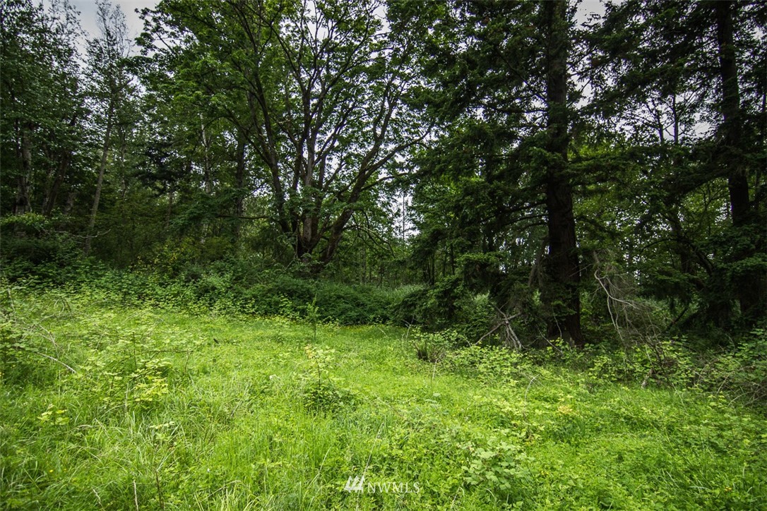 1087 East Laurel Road Bellingham, WA 98226 - Photo 4 of 10