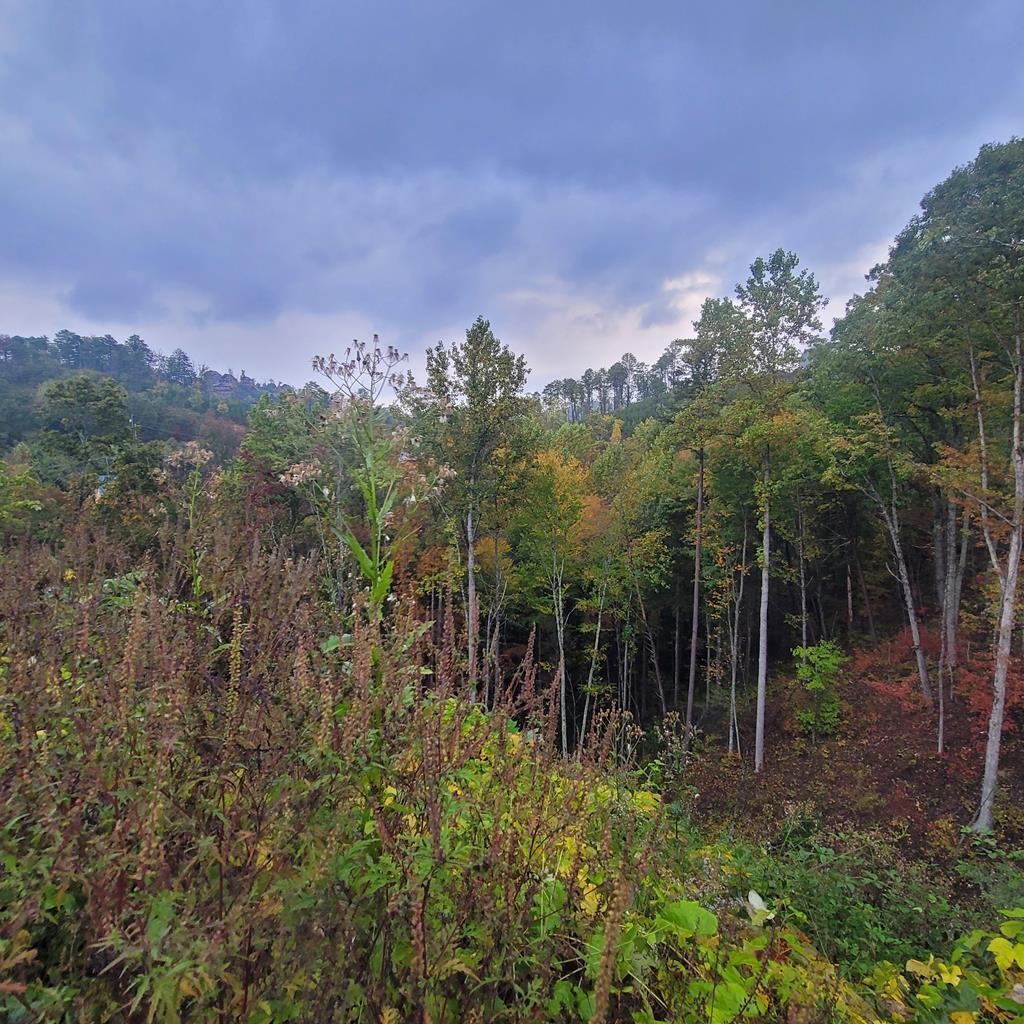 36 Blue Tick Way Sevierville, TN 37876 - Photo 21 of 25