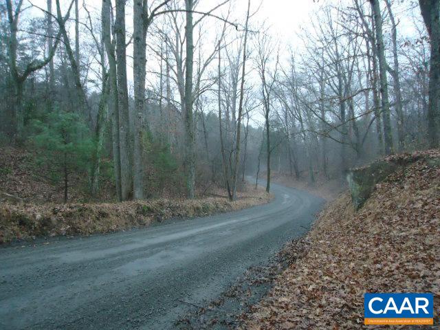 1078 Welsh Run Road Ruckersville, VA 22968 - Photo 14 of 14 a view of a yard with trees in the background