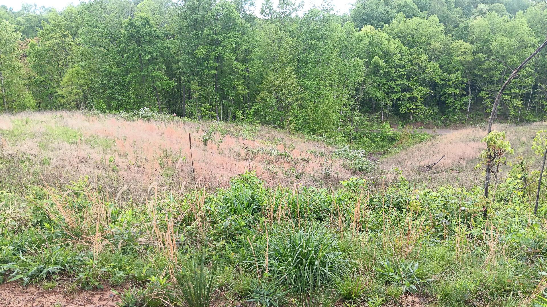 0 Hampton Hollow Road, Unit 7 ACRE TRACT) Langsville, OH 45741 - Photo 38 of 55