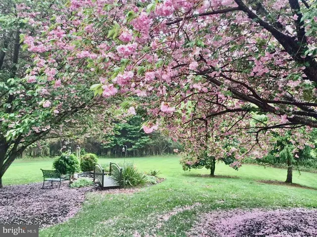 a view of living room with furniture and a window