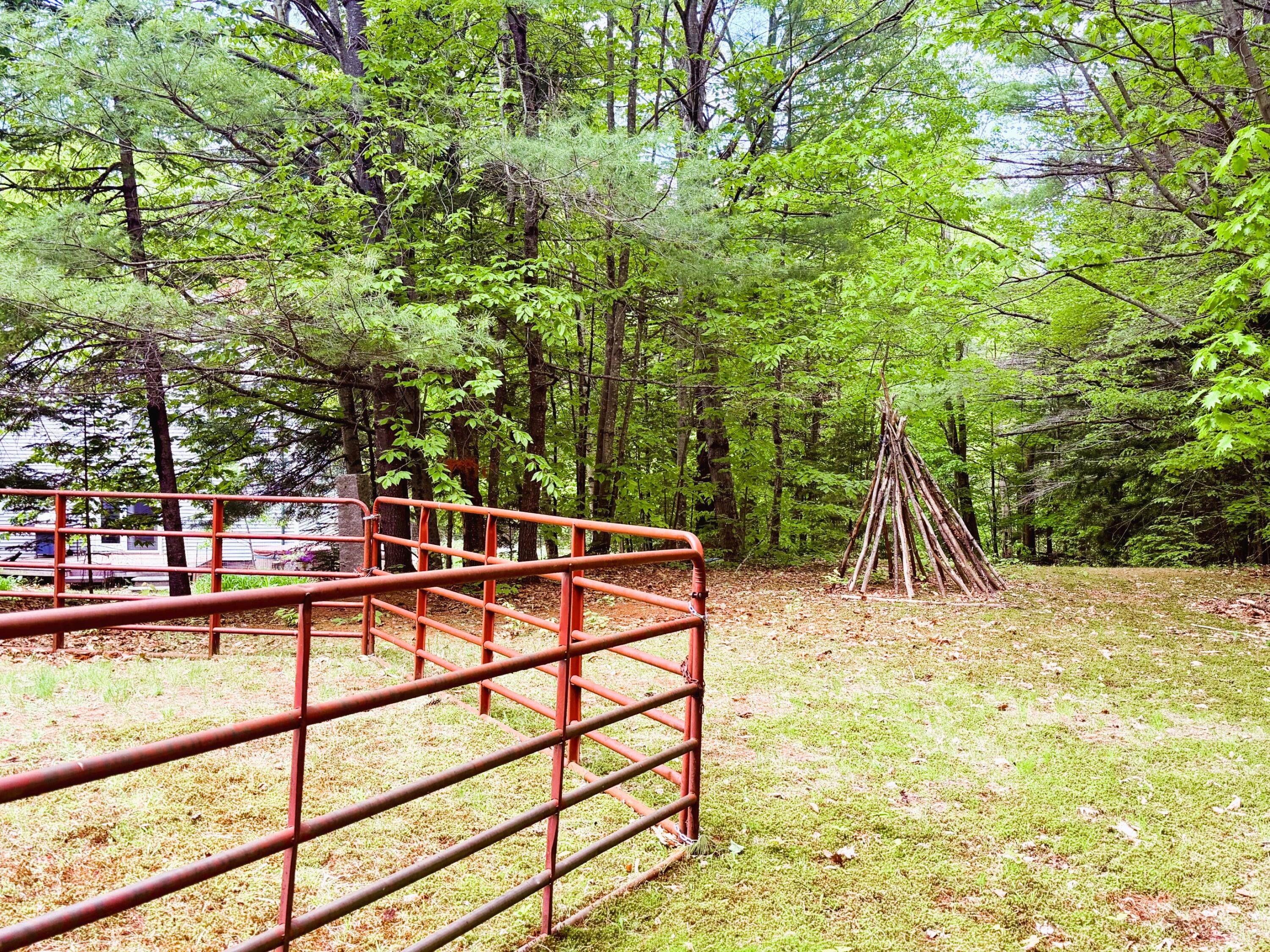411 East Jay Road Jay, ME 04239 - Photo 41 of 44 Paddock and yard