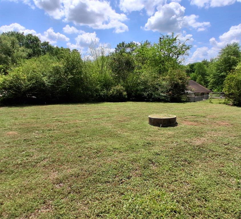 910 Success Street Gilmer, TX 75644 - Photo 20 of 20 a view of outdoor space and yard