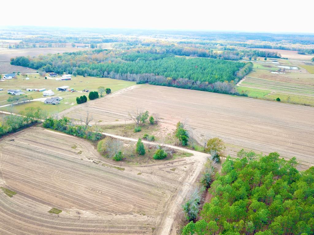 3.42-acres Summer Road Slocomb, AL 36375 - Photo 5 of 24