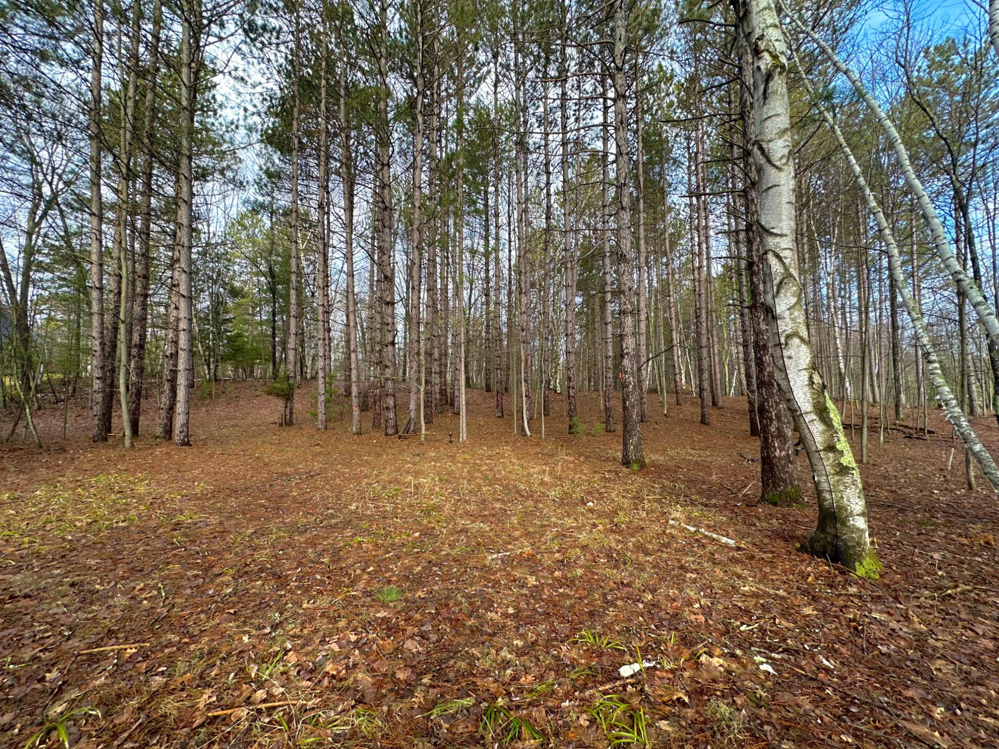 Lot 6 White Birch Road Woodruff, WI 54568 - Photo 14 of 14 Gallery Image 14