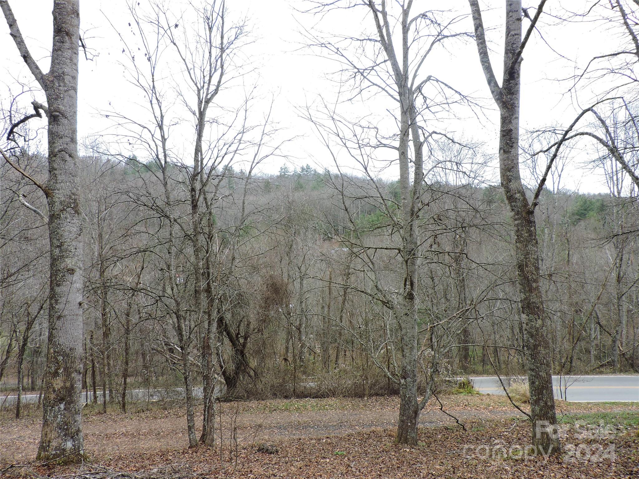 2271 Gouges Creek Road Spruce Pine, NC 28777 - Photo 28 of 37