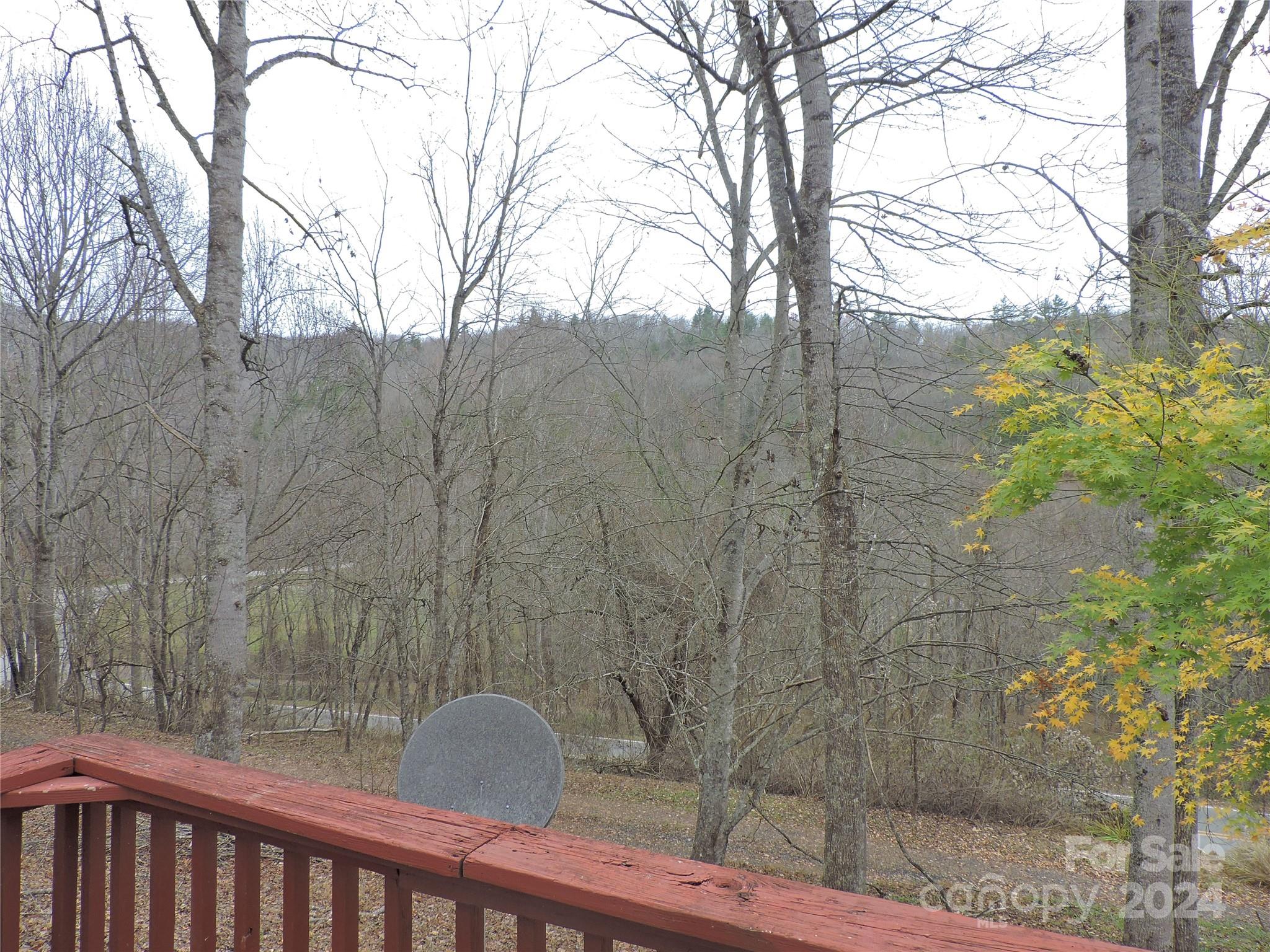 2271 Gouges Creek Road Spruce Pine, NC 28777 - Photo 29 of 37