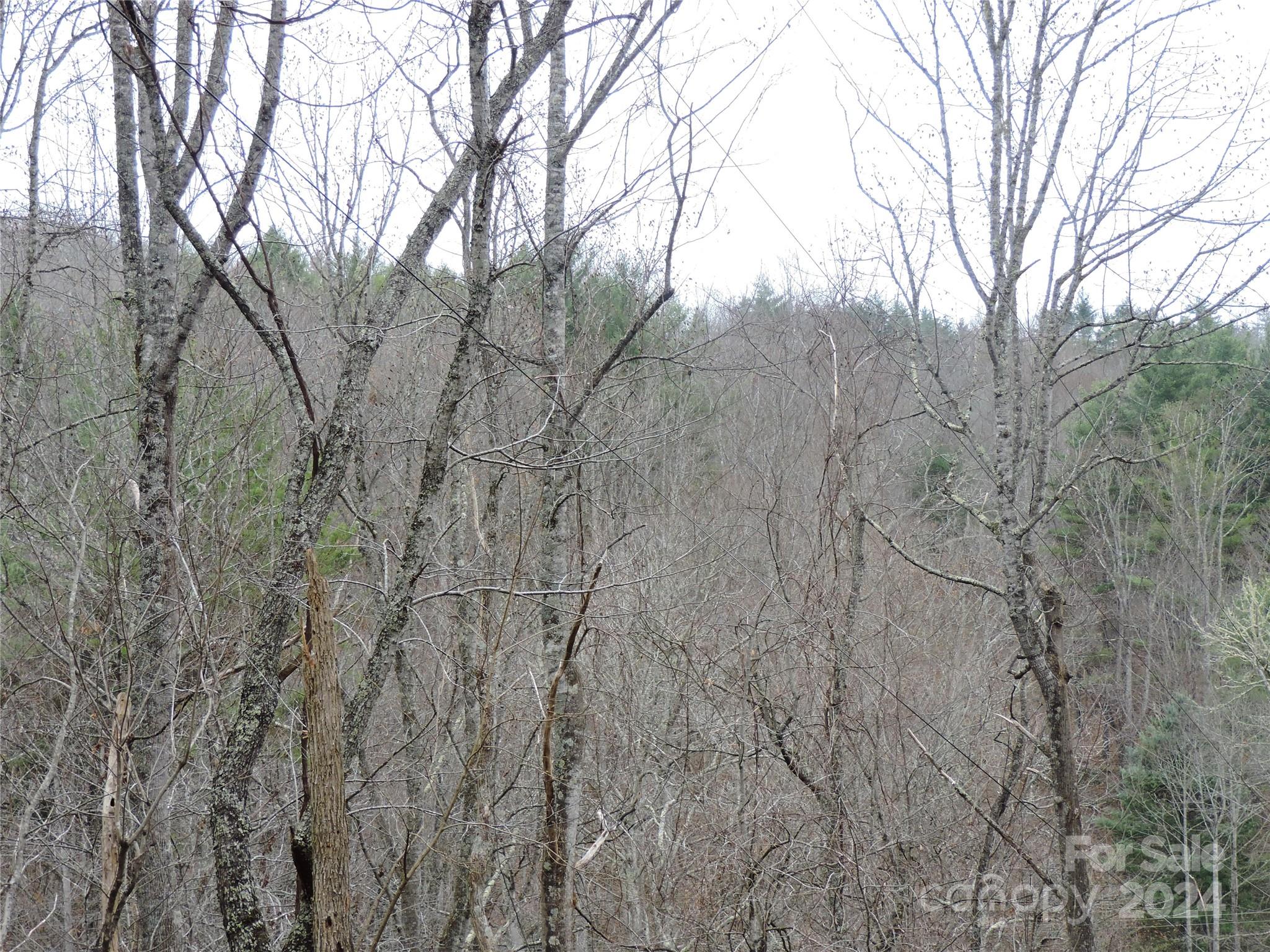 2271 Gouges Creek Road Spruce Pine, NC 28777 - Photo 35 of 37