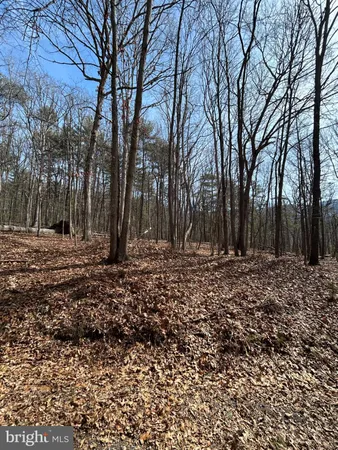 a view of outdoor space with trees