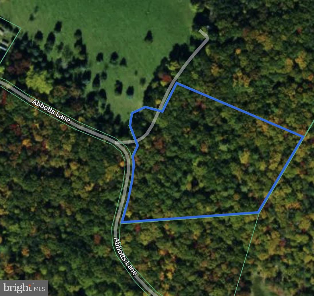 301 Abbotts Lane Rileyville, VA 22650 - Photo 7 of 9 a view of a plant