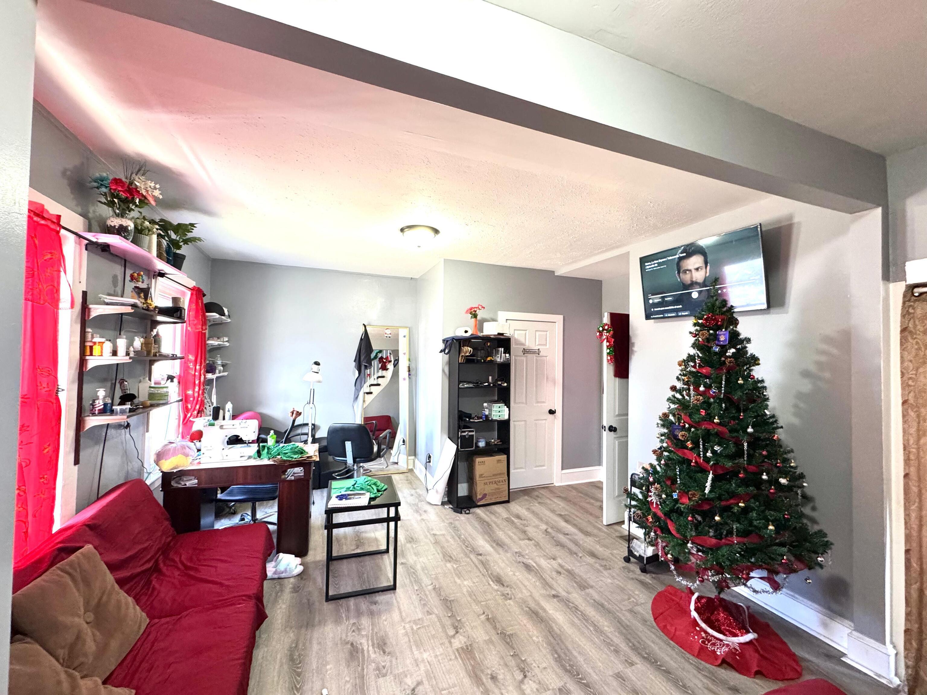 409 Poplar Street New Haven, CT 06513 - Photo 9 of 14 a living room with furniture and a potted plant