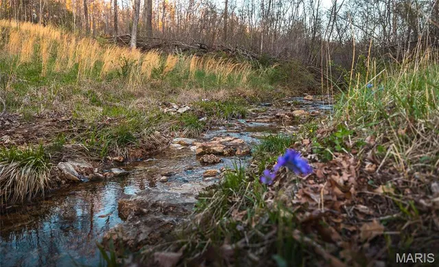 $185,000 | 382 State Hwy V, Steelville, MO 65566