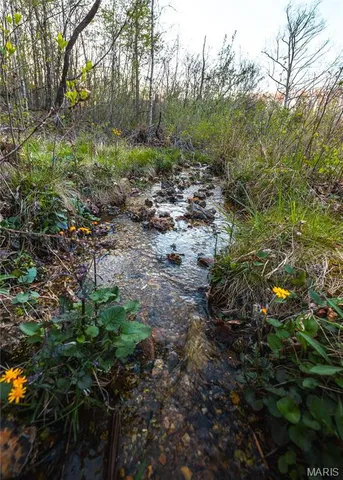 $185,000 | 382 State Hwy V, Steelville, MO 65566