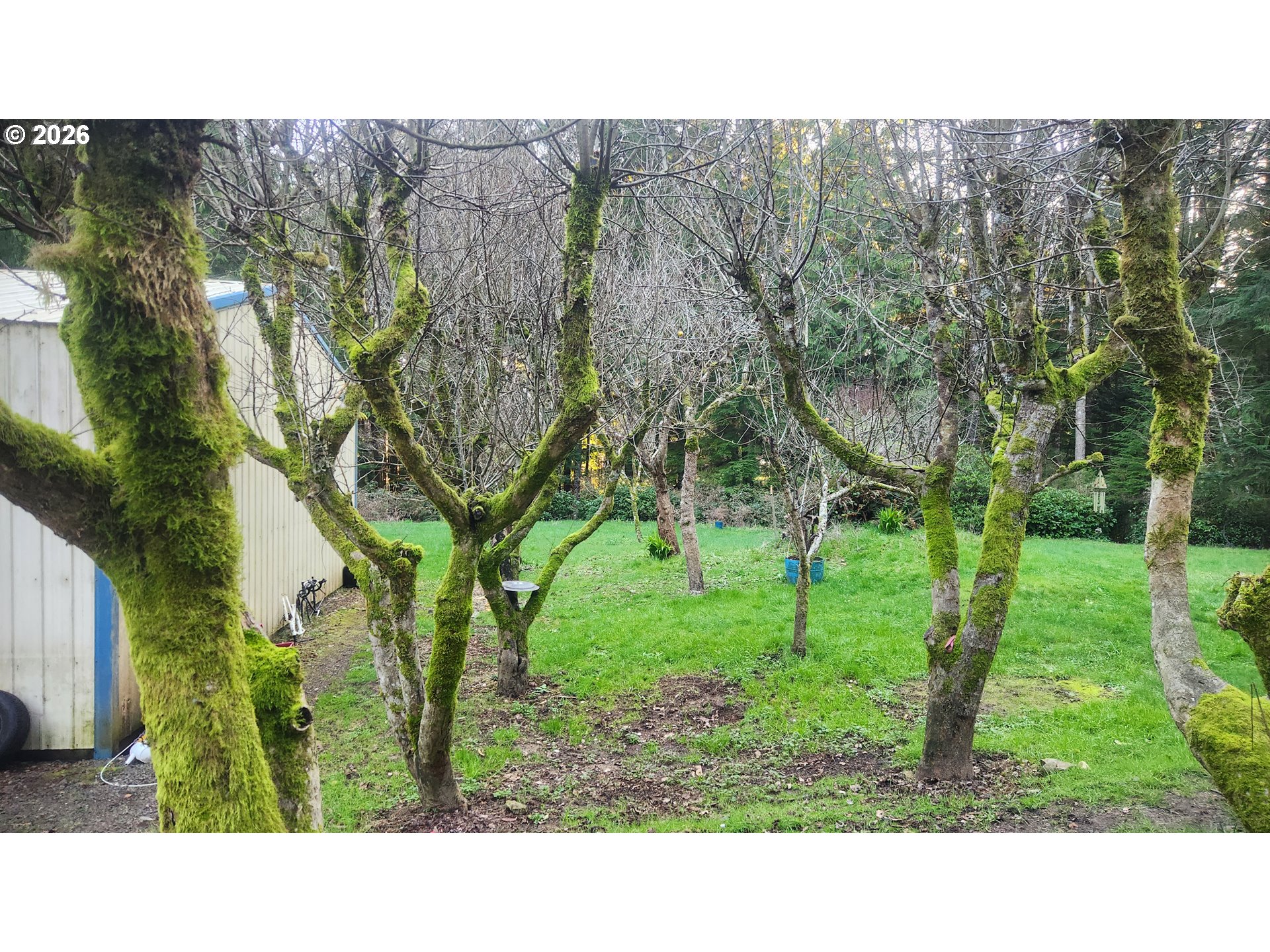 5046 North Loftus Road Florence, OR 97439 - Photo 7 of 13