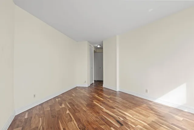 a view of a backyard with plants and trees