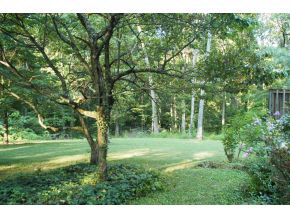 9773 East Dobson Road Bloomfield, IN 47424 - Photo 14 of 18 Gallery Image 14