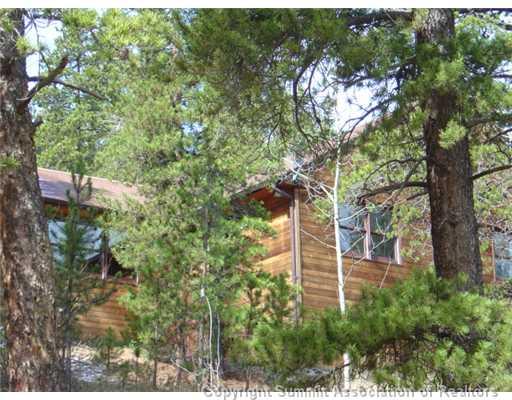 569 Lakeview Road Bailey, CO 80421 - Photo 1 of 12