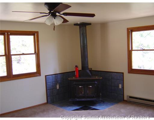 569 Lakeview Road Bailey, CO 80421 - Photo 8 of 12