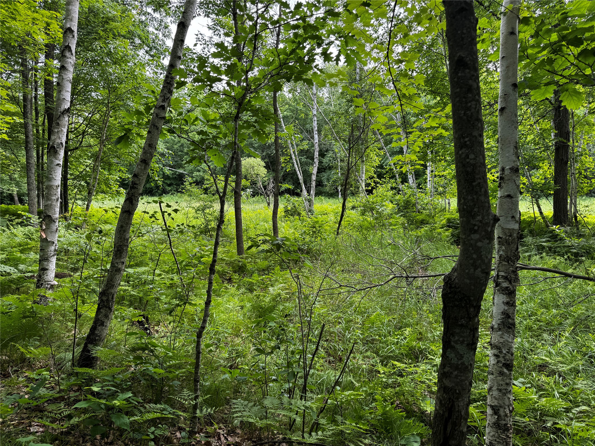 0 235th Avenue Cumberland, WI 54829 - Photo 22 of 30