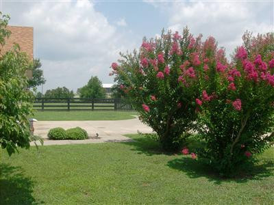 219 Ridge Runner Road Lancaster, KY 40444 - Photo 4 of 33 Photo 4