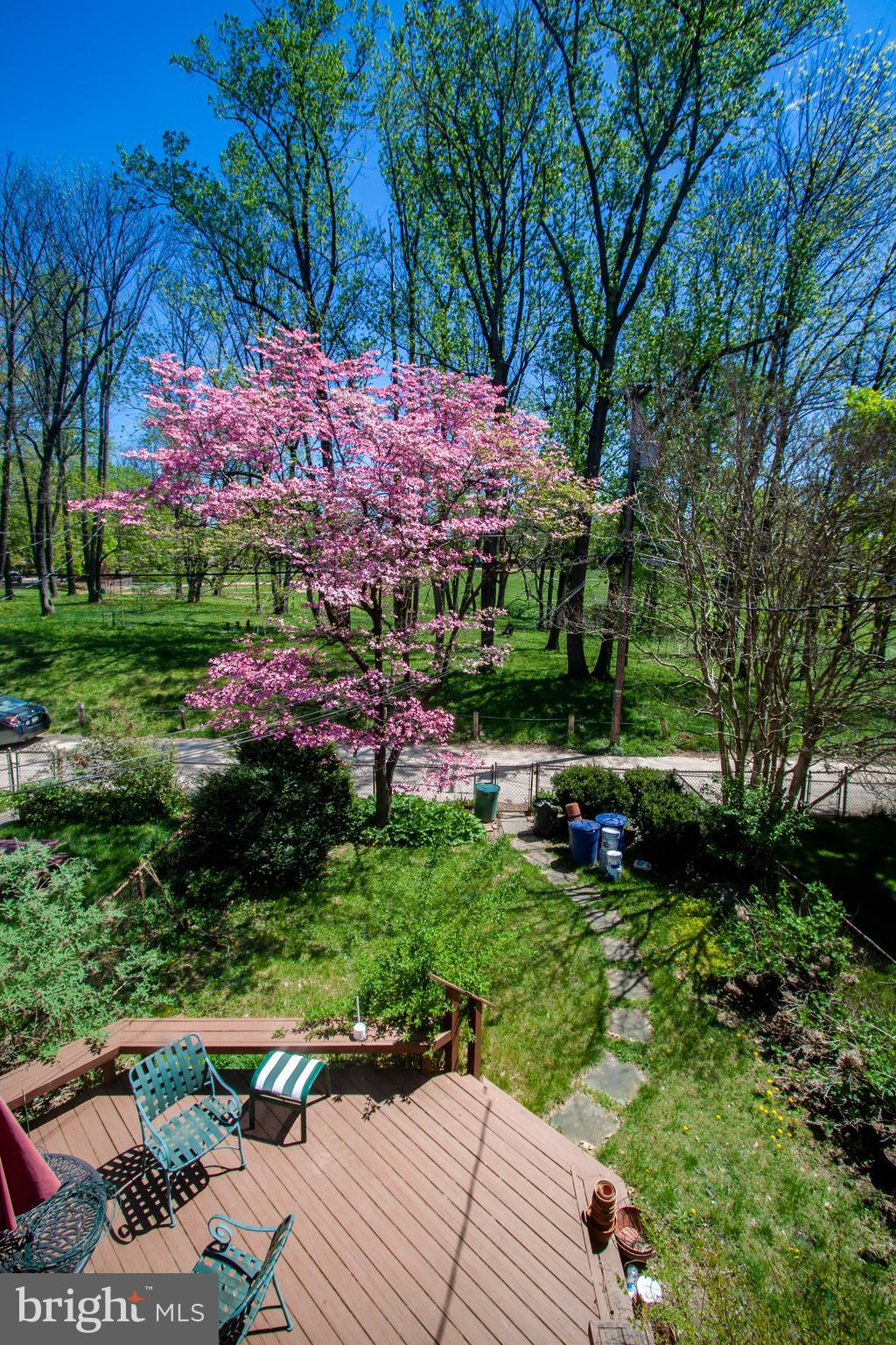 7225 Lanark Road Baltimore, MD 21212 - Photo 44 of 60 View out Bedroom #2 onto backyard and park