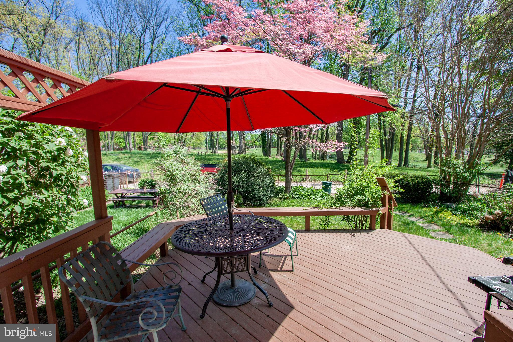 7225 Lanark Road Baltimore, MD 21212 - Photo 54 of 60 View from back door looking into park