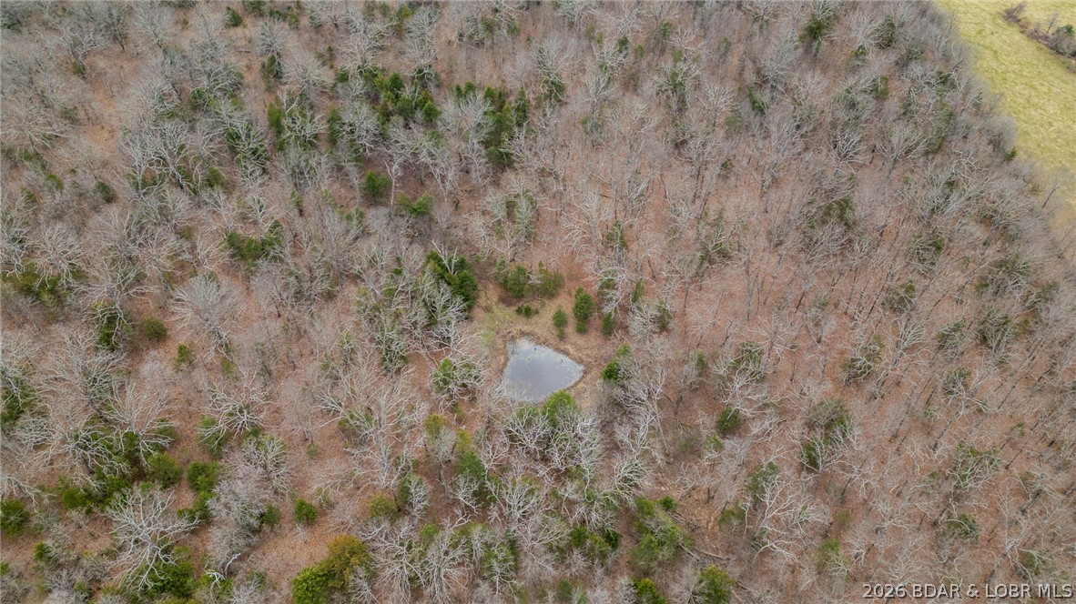 181 Bennett Road Stoutland, MO 65567 - Photo 32 of 41