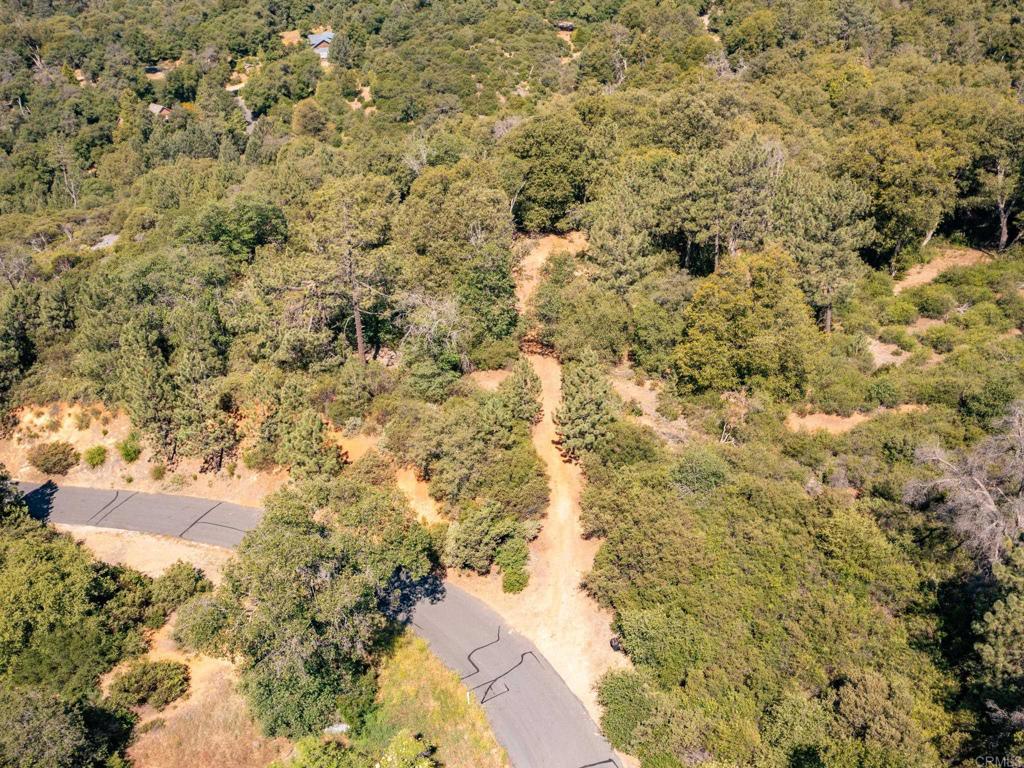 7 West Incense Cedar Road Julian, CA 92036 - Photo 6 of 24 a view of a yard with a space