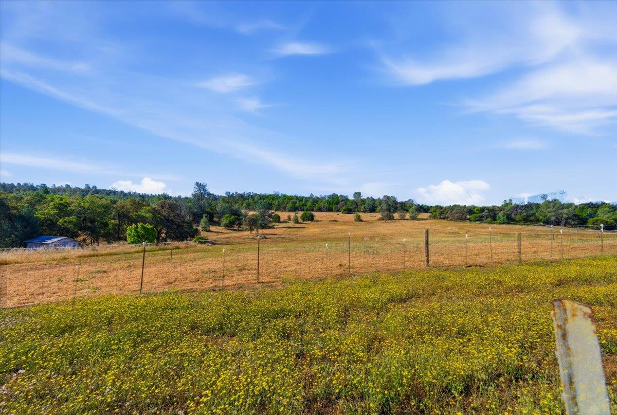 22233 McCourtney Road Grass Valley, CA 95949 - Photo 53 of 89